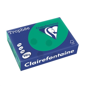 Clairefontaine papier / dennengroen / A4 / 210 gr. / 250 vel