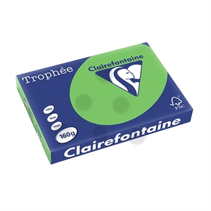 Clairefontaine papier / grasgroen / A3 / 160 gr. / 250 vel