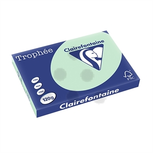 Clairefontaine papier / groen / A3 / 120 gr. / 250 vel