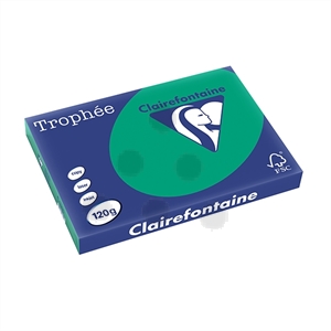 Clairefontaine papier / dennengroen / A3 / 120 gr. / 250 vel