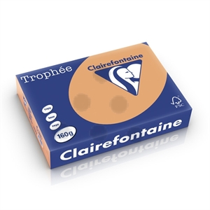 Clairefontaine papier / mokkabruin / A4 / 160 gr. / 250 vel