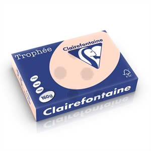 Clairefontaine papier / zalm / A4 / 160 gr. / 250 vel