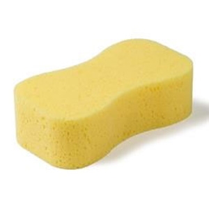 Carwash spons