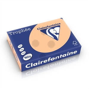 Clairefontaine papier / abrikoos / A4 / 160 gr. / 250 vel