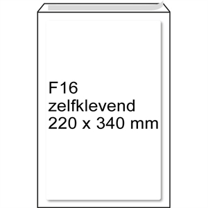 Raadhuis 306616 luchtkussen envelop / zelfklevend / F16 / 220mm x 340mm / 100 stuks