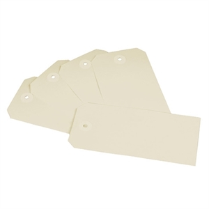 Raadhuis RD-351161 labels met ophangoog / papier / niet-klevend / chamois / 250 stuks