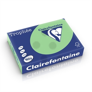 Clairefontaine papier / natuurgroen / A4 / 160 gr. / 250 vel
