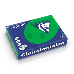 Clairefontaine papier / biljartgroen / A4 / 160 gr. / 250 vel