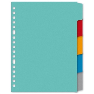 Kangaro P505M tabbladen / gekleurd karton / 5 tabs / 17-gaats