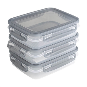 Sunware Club Cuisine diepvriesdozen / met clips / transparant/grijs / 0,7 liter / 3 stuks