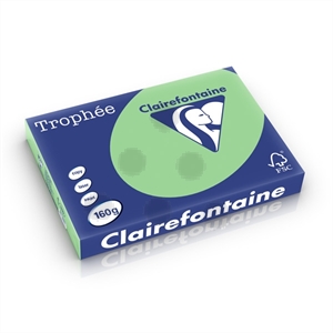 Clairefontaine papier / natuurgroen / A3 / 160 gr. / 250 vel