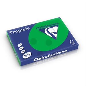 Clairefontaine papier / biljartgroen / A3 / 120 gr. / 250 vel