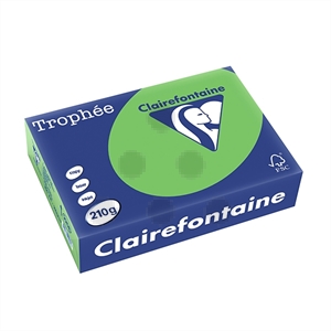 Clairefontaine papier / grasgroen / A4 / 210 gr. / 250 vel