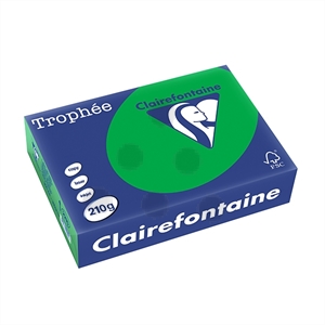 Clairefontaine papier / biljartgroen / A4 / 210 gr. / 250 vel