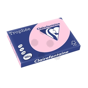 Clairefontaine papier / roze / A3 / 120 gr. / 250 vel