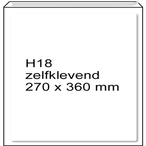 Raadhuis 306618-5 luchtkussen envelop / zelfklevend / H18 / 270mm x 360mm / 5 stuks